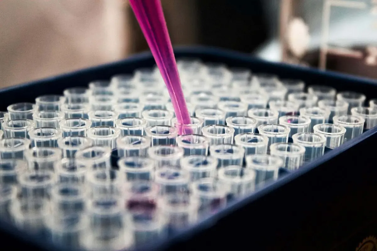 Pipette filling a tray of sample tubes
